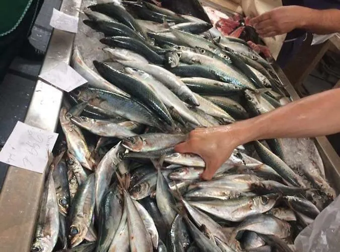 Floor In Center 푼샬