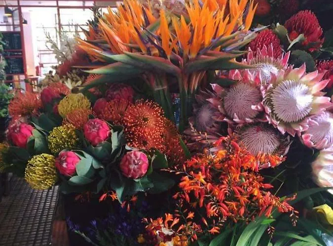 Floor In Center 푼샬