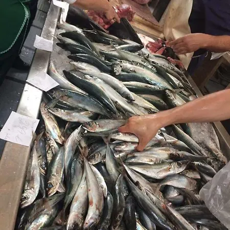 Floor In Center Funchal (Madeira)