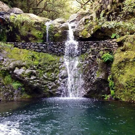 Apartamento Floor In Center Funchal (Madeira)