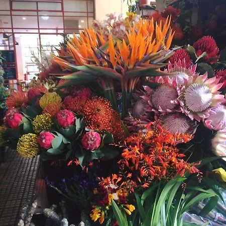 Floor In Center فونشال