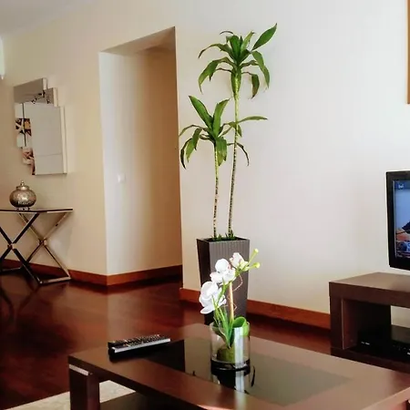 Apartamento Floor In Center Funchal (Madeira)